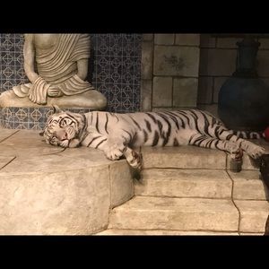 Meet your Posher, Ignacio